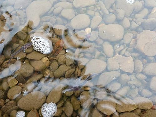 Фото пресс-службы Госкомитета по ГО, ЧС и ПБ Хакасии